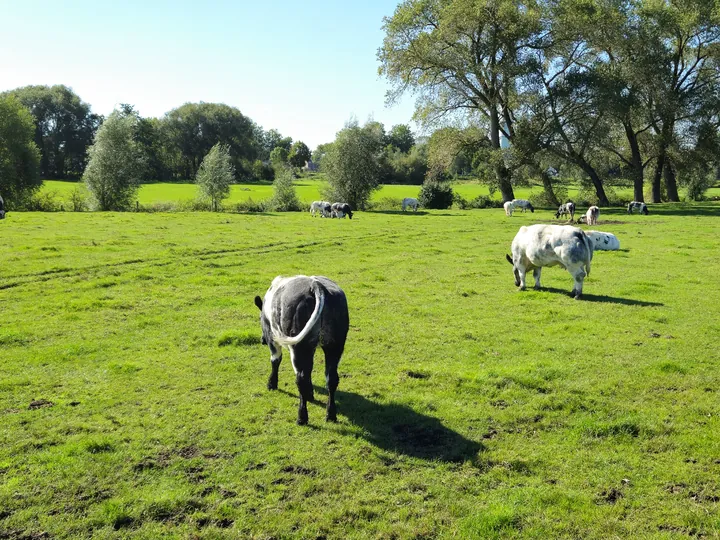 Rhodesgoed cycling and walking 2-day, Izegem (Belgium)